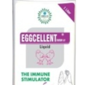 EGGCELLENT